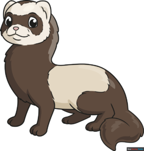 How to Draw a Ferret Featured Image