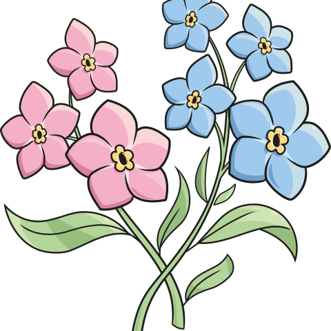 How to Draw Foget Me Not Flowers Featured Image