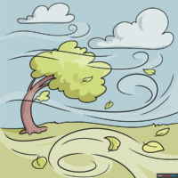 How to Draw the Wind