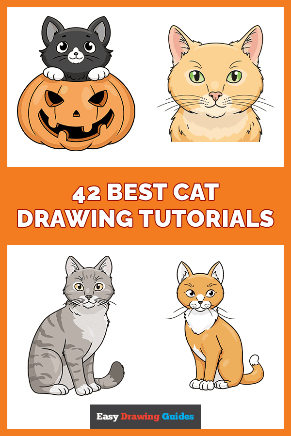 42 Best Cat Drawing Tutorials Pinterest Image 