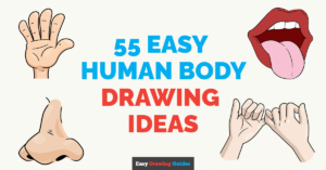 Easy Human Body Drawing Ideas Featured Image