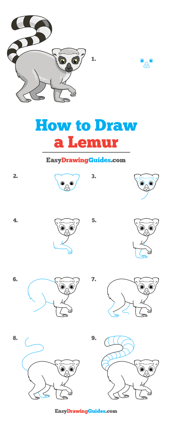 how to draw a lemur step by step tutorial image