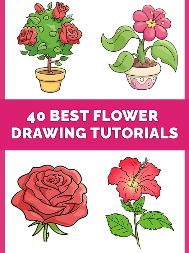 34 Easy Flower Drawing Tutorials Pinterest Image