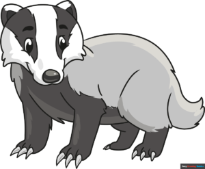 How to Draw a Badger Featured Image