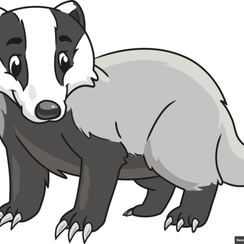 How to Draw a Badger Featured Image