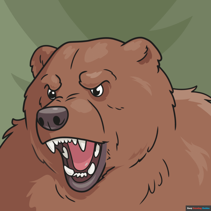 How to Draw a Bear Face Featured Image