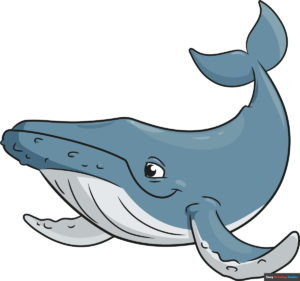 How to Draw a Humpback Whale Featured Image