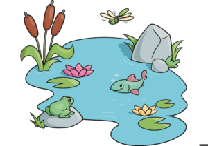 How to Draw a Pond Featured Image