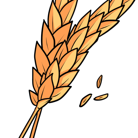 How to Draw Wheat Featured Image