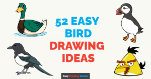 52 Easy Bird Drawing Tutorials Featured Image