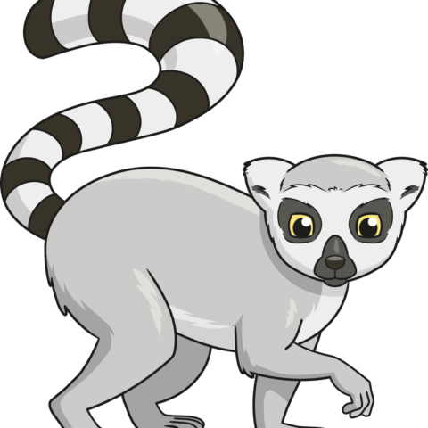 How to Draw a Lemur featured image