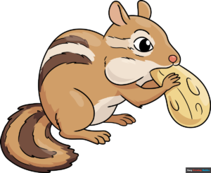 how to draw a chipmunk featured image
