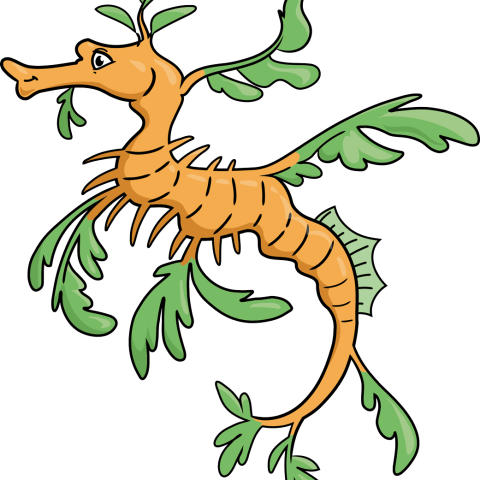 how to draw a leafy sea dragon featured image