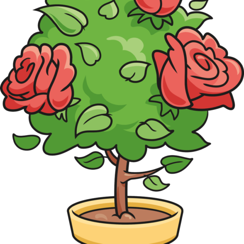 How to Draw a Rose Bush Featured Image