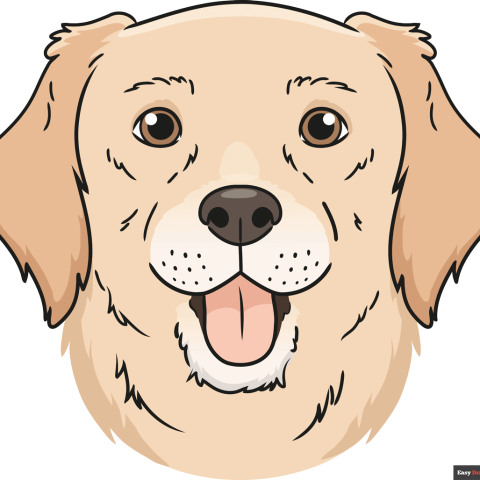 How to Draw a Dog Head Featured Image