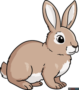 How to Draw a Rabbit Featured Image