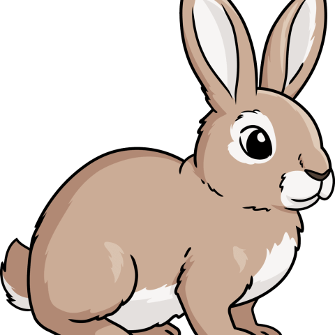 How to Draw a Rabbit Featured Image