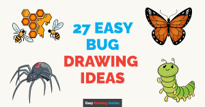 27 Easy Bug Drawing Tutorials Featured Image