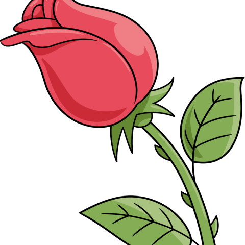 How to an Draw Easy, Step-by-step Rose Drawing for Kids Featured Image