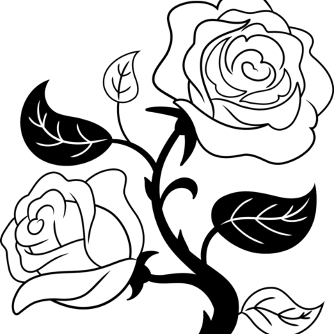 How to Draw a Black and White Rose Featured Image