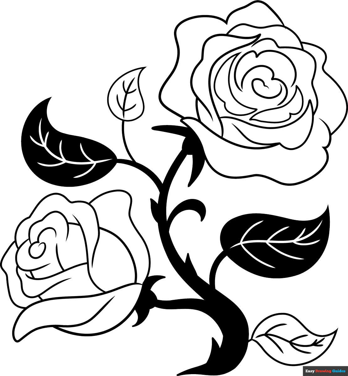 Black And White Rose Black And White Rose