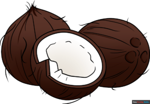 How to Draw a Coconut Featured Image