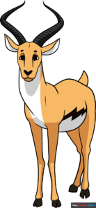 how to draw an antelope featured image