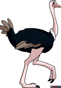 How to Draw an Ostrich Featured Image