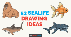 53 Sealife Drawing Tutorials for Kids Featured Image