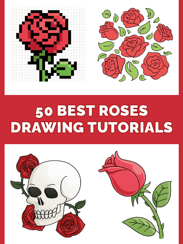 50-best-roses-drawing-tutorials-pinterest-design1-600x900