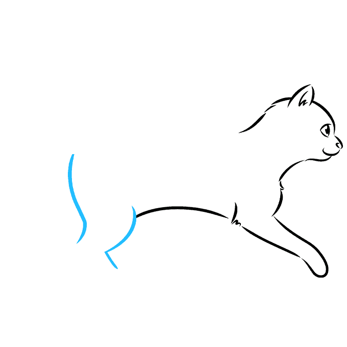 How to Draw a Walking Cat Outline Really Easy Drawing Tutorial