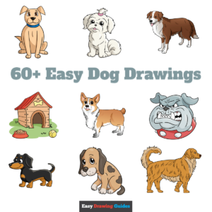 Easy Dog Drawings