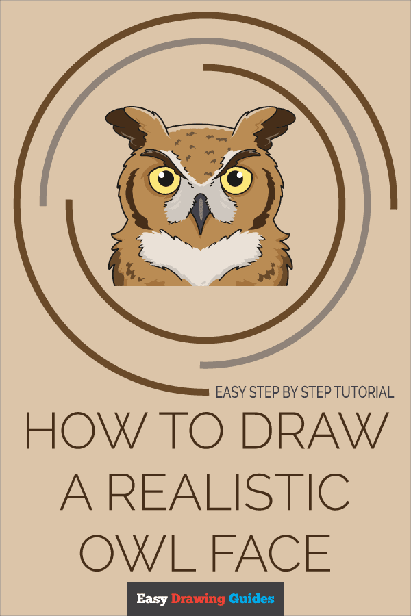 679 Owl Realistic Color Drawing. Images, Stock Photos, 3D objects, &  Vectors | Shutterstock