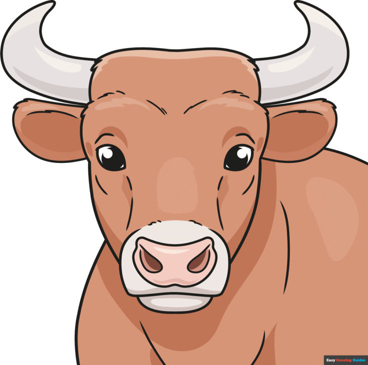 How to Draw a Bull Head and Face Featured Image