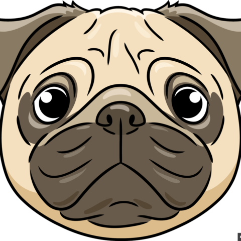 How to Draw a Pug Face Featured Image