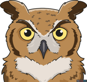 How to Draw a Realistic Owl Face Featured Image