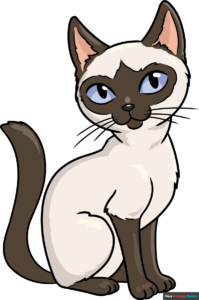 How to Draw a Siamese Cat Featured Image