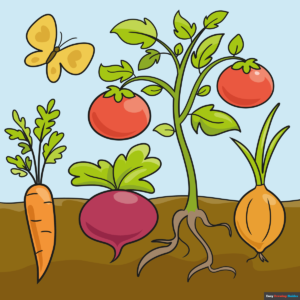 How to Draw Vegetables Featured Image