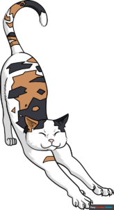 How to Draw a Calico Cat Stretching Featured Image