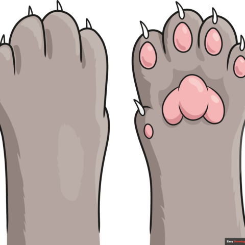 How to Draw a Cat Paw Featured Image
