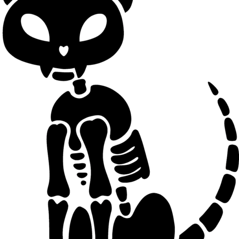How to Draw a Cat Skeleton Featured Image 662x346