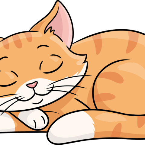How to Draw a Simple Sleeping Cat Featured Image