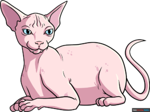 How to Draw a Sphynx Cat Featured Image