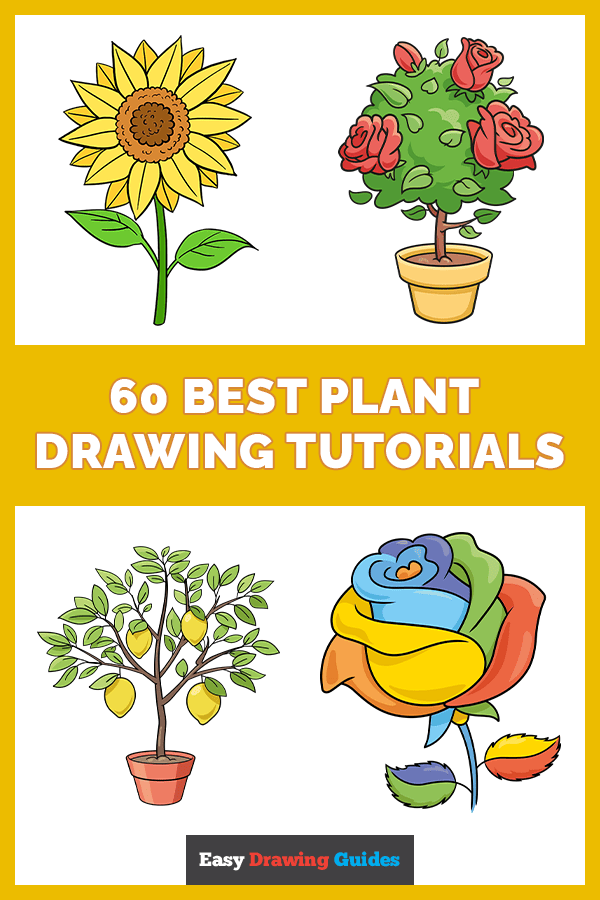 Line Art,plant,flora - Mustard Plant Drawing Easy, HD Png Download ,  Transparent Png Image - PNGitem