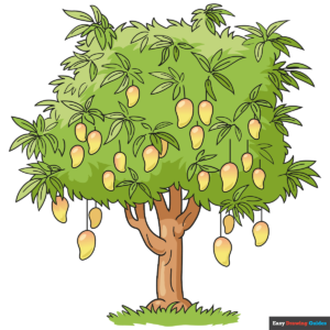 How to Draw a Mango Tree Featured Image