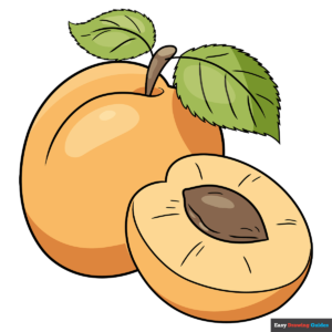 How to Draw an Apricot Featured Image