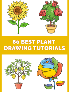34 Best Plant Drawing Tutorials Pinterest Image