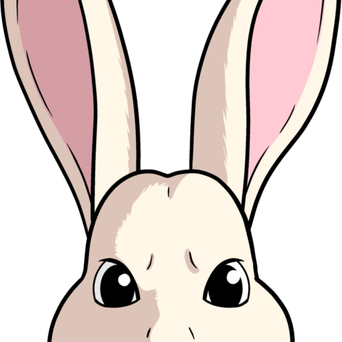 How to Draw a Bunny Face Featured Image