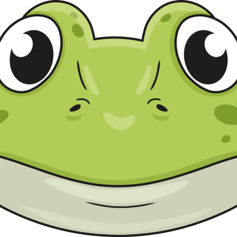 How to Draw a Frog Face Featured Image