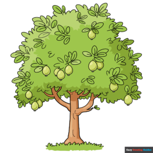 How to Draw a Guava Tree Featured Image